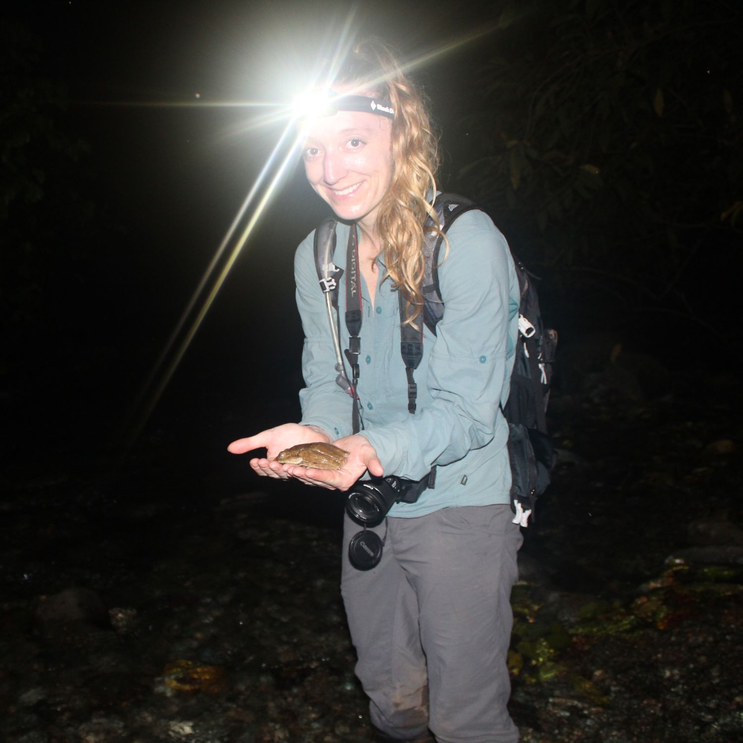 Excursión nocturna