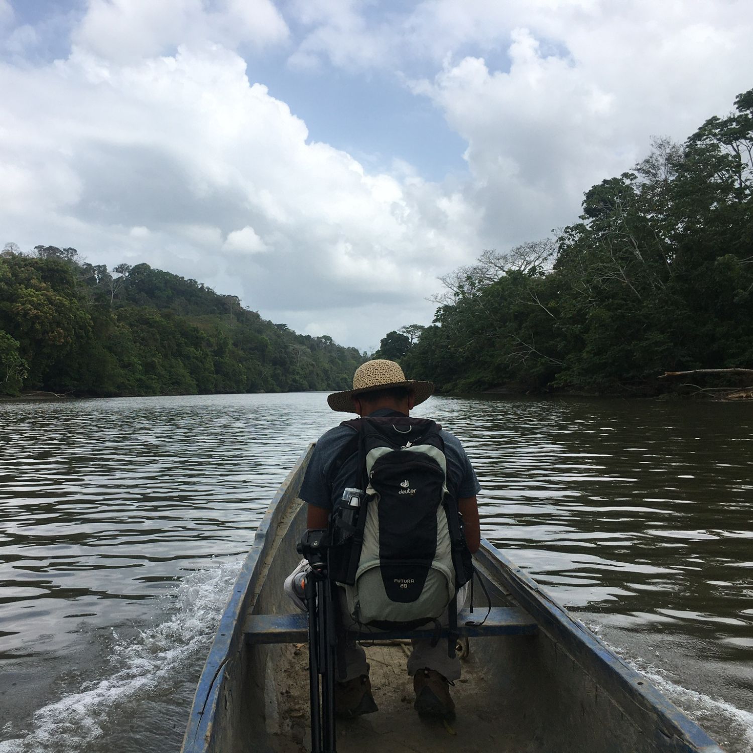 Excursión diurna